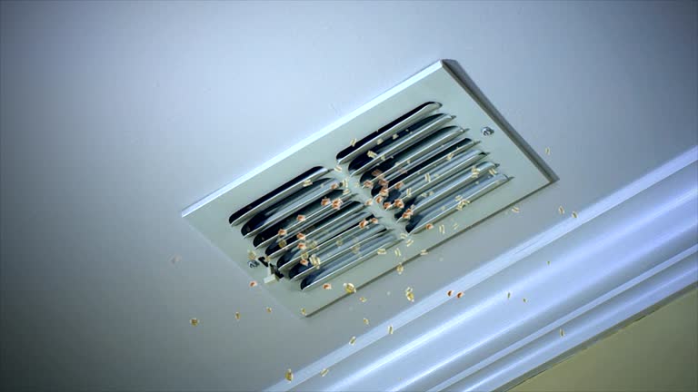 Best HVAC System Cleaning  in Fennville, MI