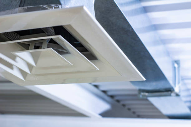 Best Local Air Duct Cleaning Services  in Fennville, MI