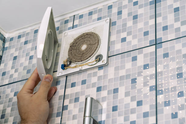 Best Air Duct Mold Removal  in Fennville, MI