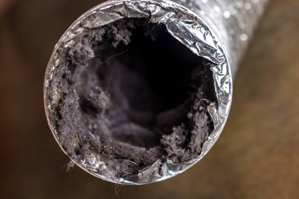 Best Residential Air Duct Cleaning  in Fennville, MI