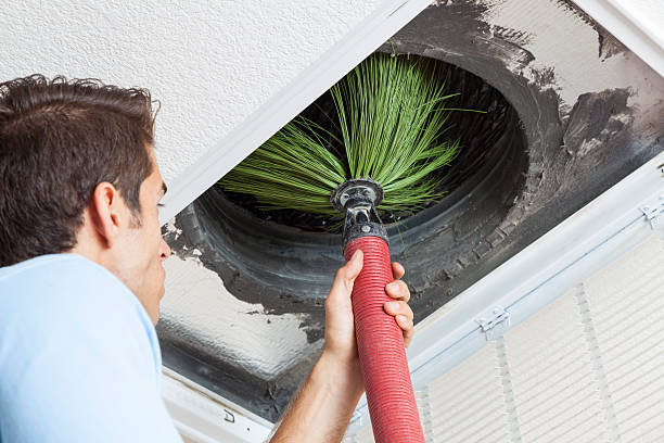 Air Duct Mold Removal in Fennville, MI