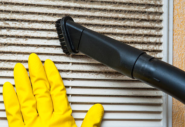 Best Ventilation Cleaning Services  in Fennville, MI